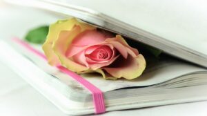 kako-je-ruzica-sacuvala-price